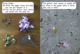 Red Rocket Fluency Level 2 Non Fiction C (Level 17): Paper Making