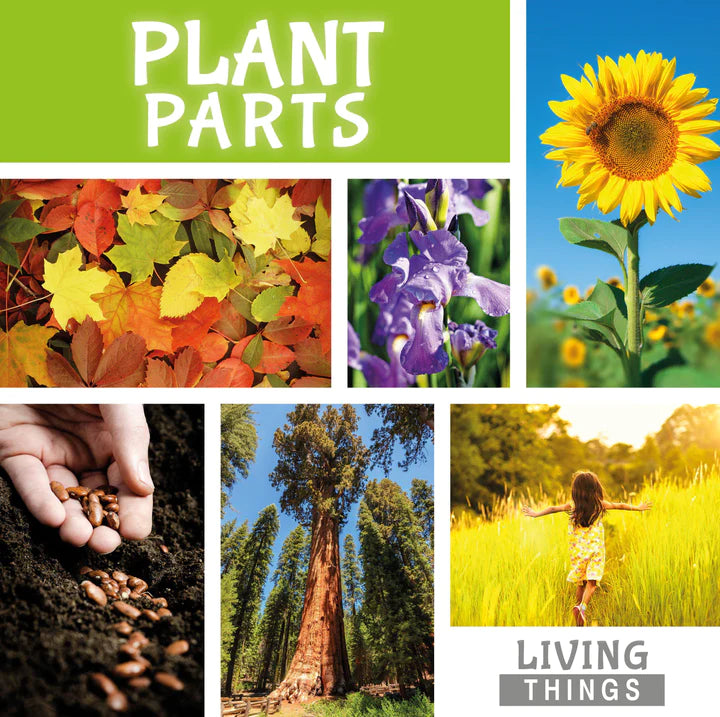 Living Things:Plant Parts(HB)
