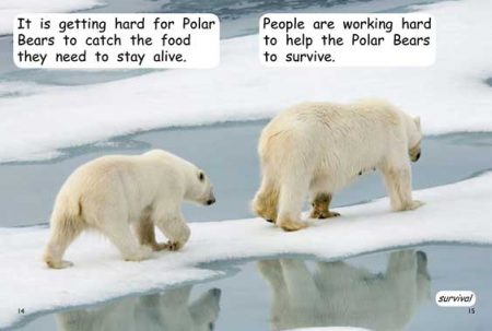 Red Rocket Early Level 4 Non Fiction C (Level 13): Polar Bear Survival