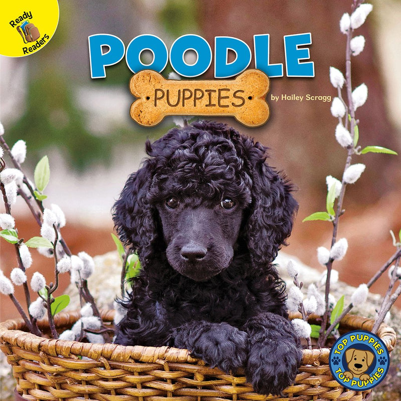 Ready Readers:Poodle Puppies