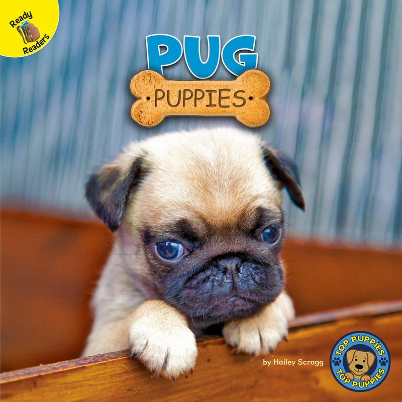 Ready Readers:Pug Puppies