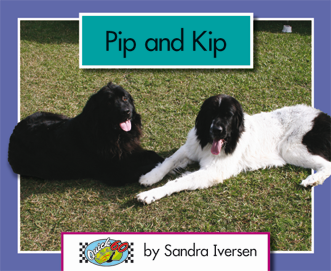 Quick 60 Set 1, Level 1: Pip and Kip