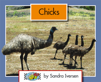 Quick 60 Set 1, Level 4: Chicks