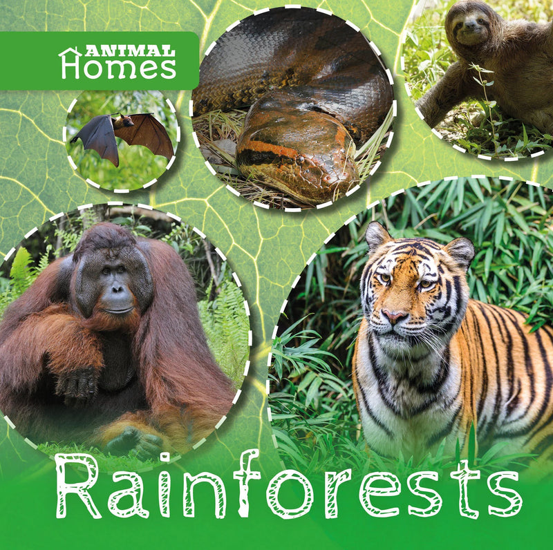 Animal Homes:Rainforests(HB)