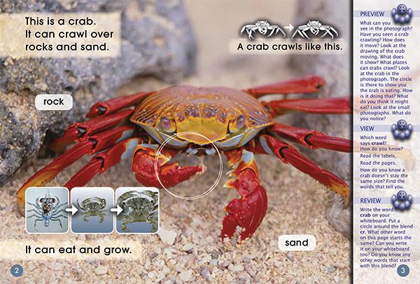 Key Links Yellow Book 23, Level 8: Robot Crab