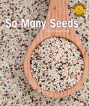 Sunshine Starters Level 6: So Many Seeds