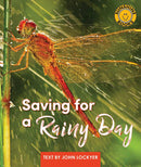 Sunshine Starters Level 18:Saving for a Rainy Day