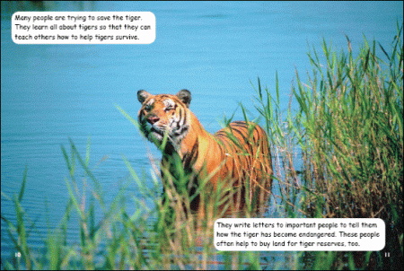 Red Rocket Fluency Level 3 Non Fiction B (Level 19): Saving Tigers