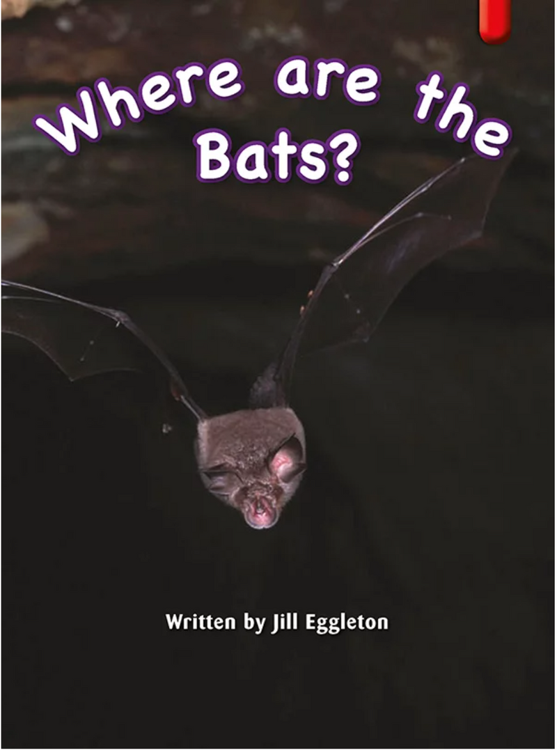 Key Links Red (Book 21, Level 5): Where are the Bats?