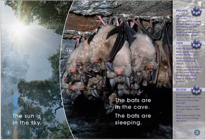 Key Links Red (Book 21, Level 5): Where are the Bats?