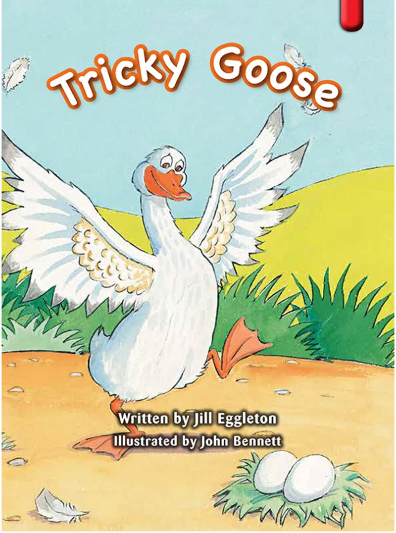 Key Links Red (Book 18, Level 5): Tricky Goose