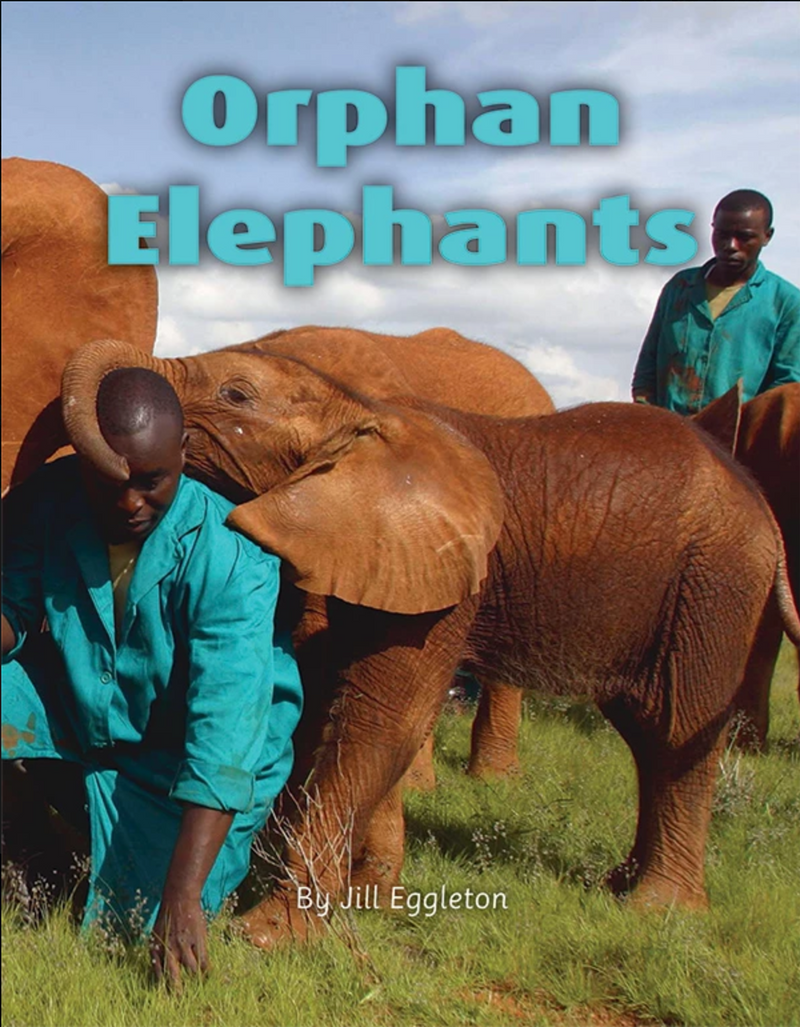 Into Connectors(L15-16): Orphan Elephants