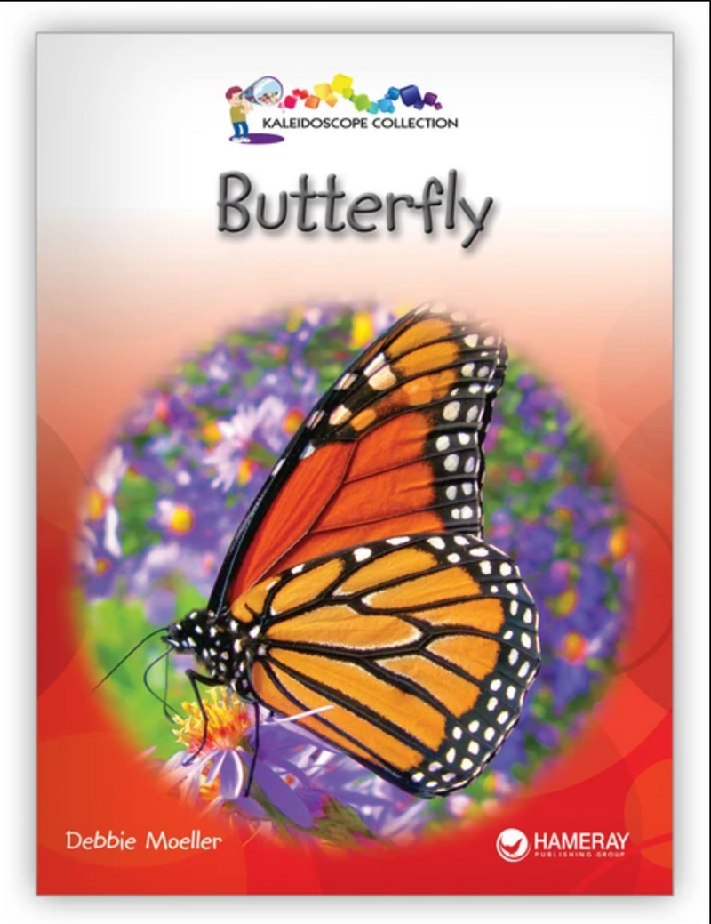 Kaleidoscope Big Book GR-A: Butterfly