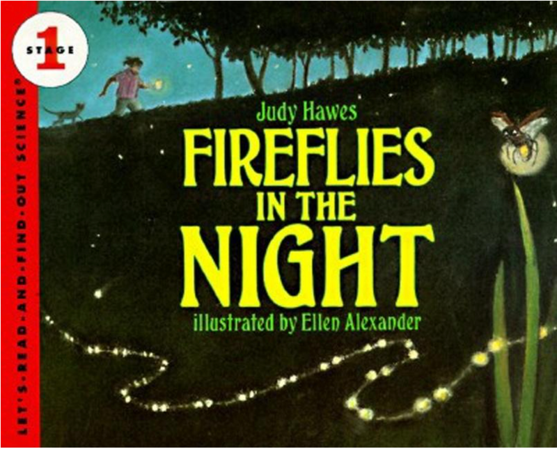 Fireflies in the Night(Let's-Read-And-Find-Out Science 1)