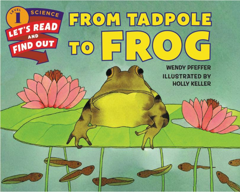 From Tadpole to Frog(Let's-Read-And-Find-Out Science 1)