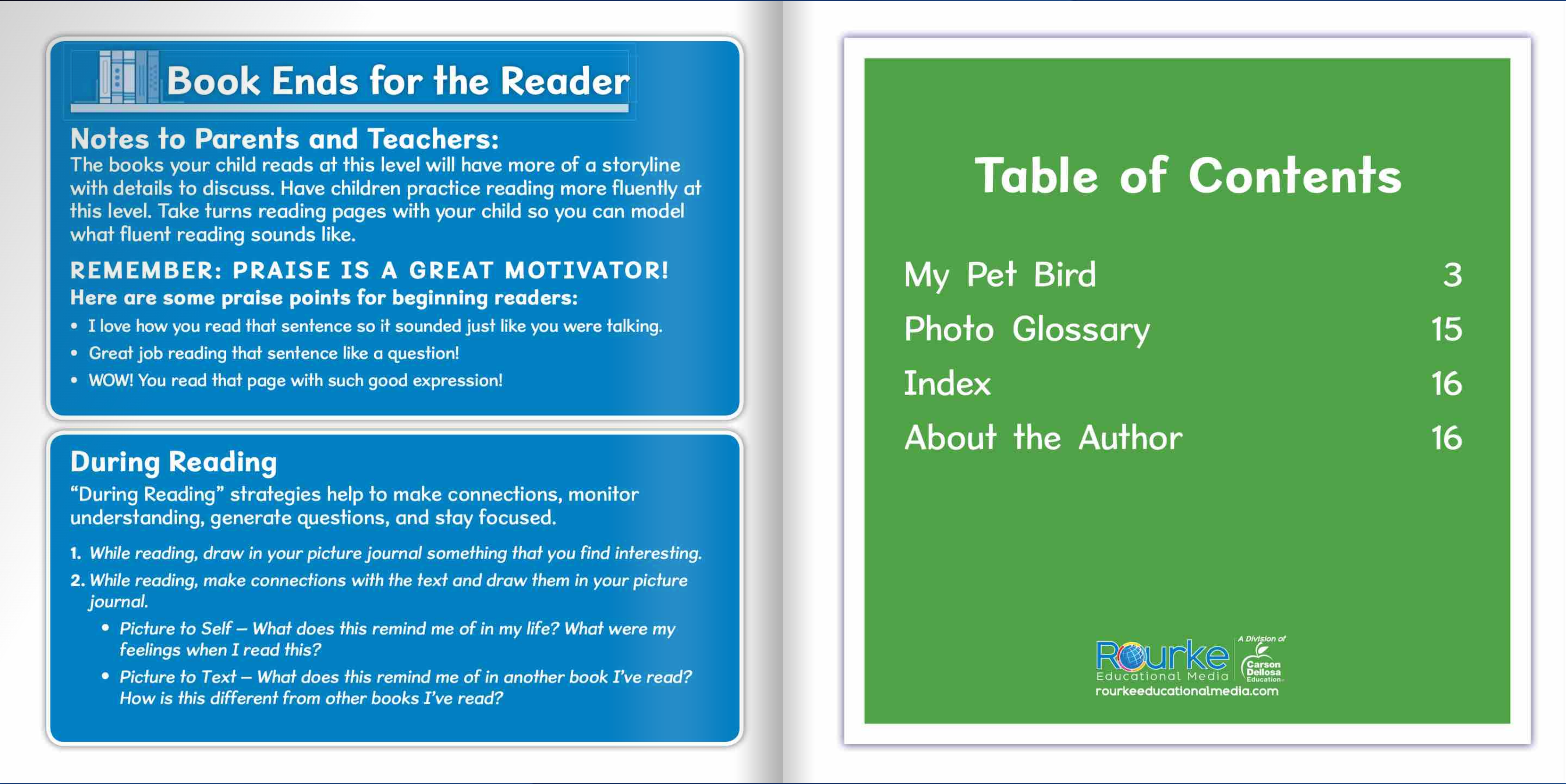 Ready Readers:Bird