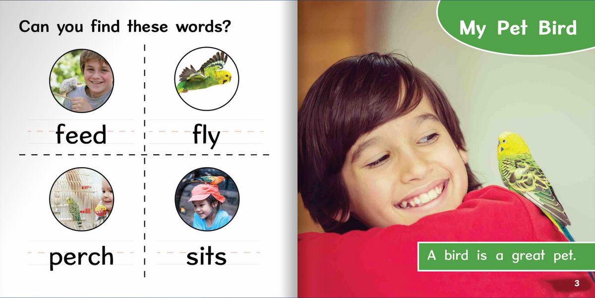 Ready Readers:Bird