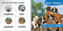 Ready Readers:Boxer Puppies