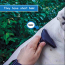 Ready Readers:Boxer Puppies