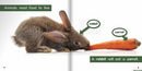 Ready Readers:Animals Need Food