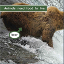 Ready Readers:Animals Need Food