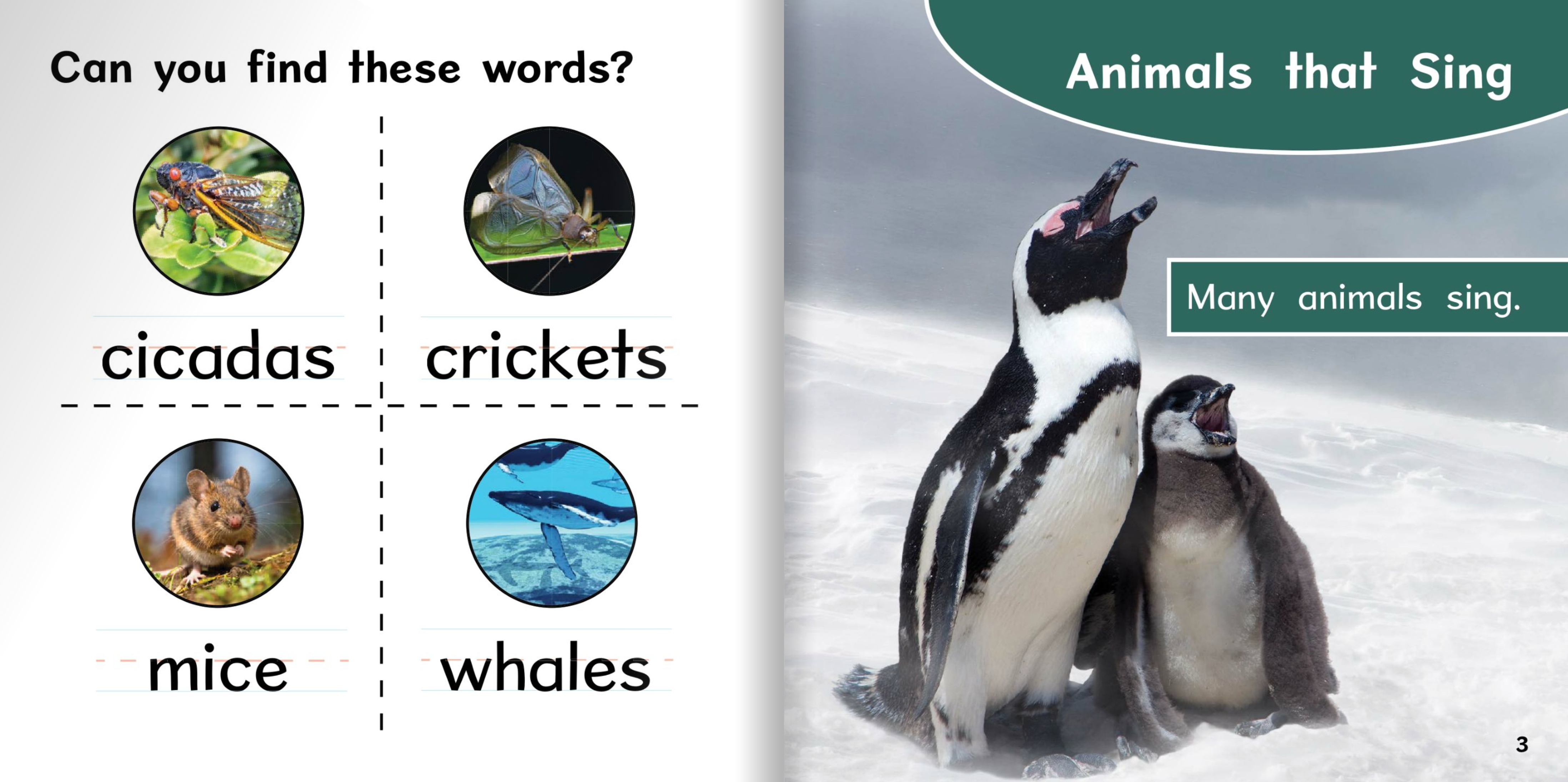 Ready Readers:Animals That Sing