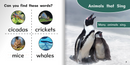 Ready Readers:Animals That Sing