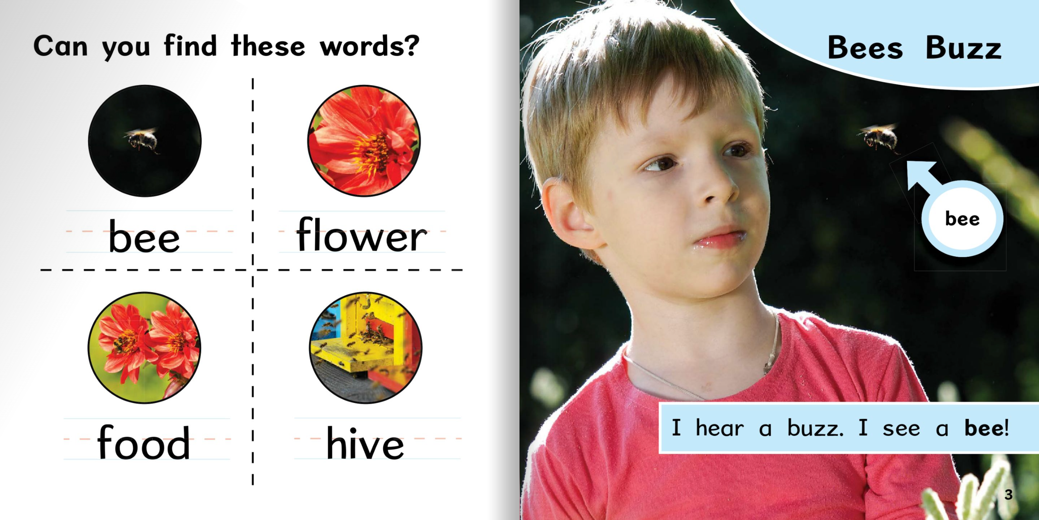 Ready Readers:Bees Buzz