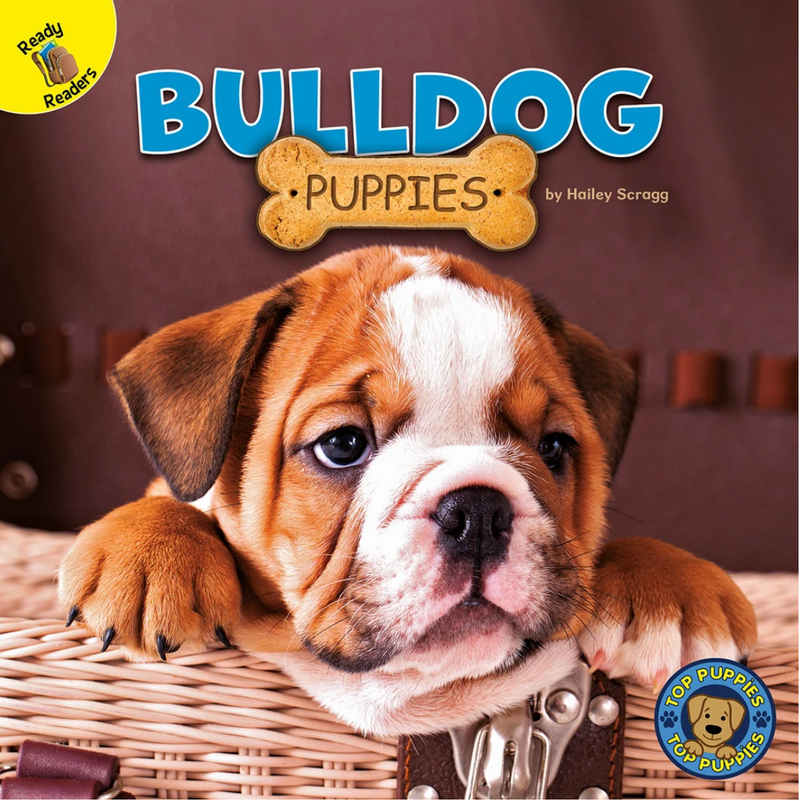 Ready Readers:Bulldog Puppies