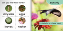 Ready Readers:Butterfly