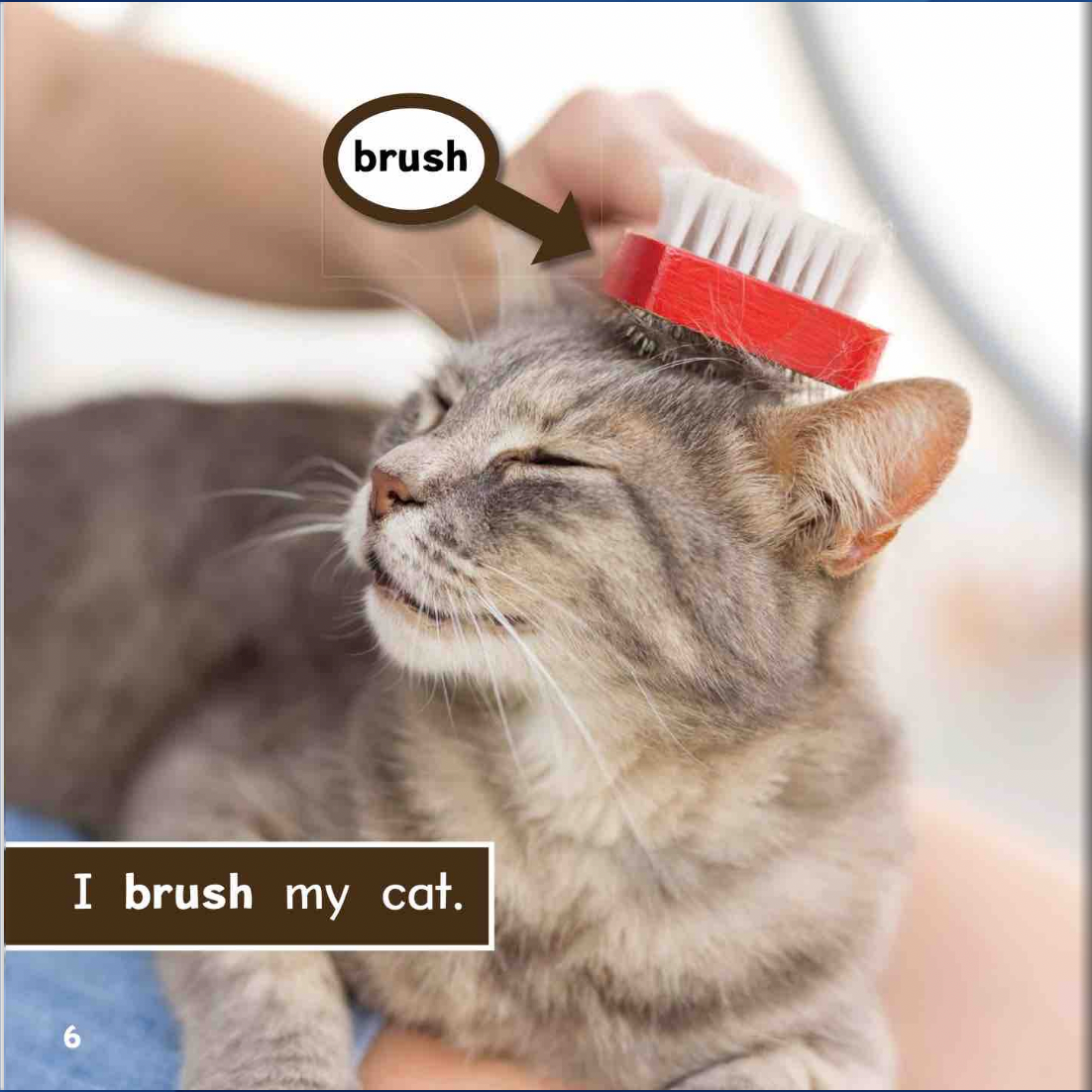 Ready Readers:Cat