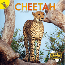 Ready Readers:Cheetah