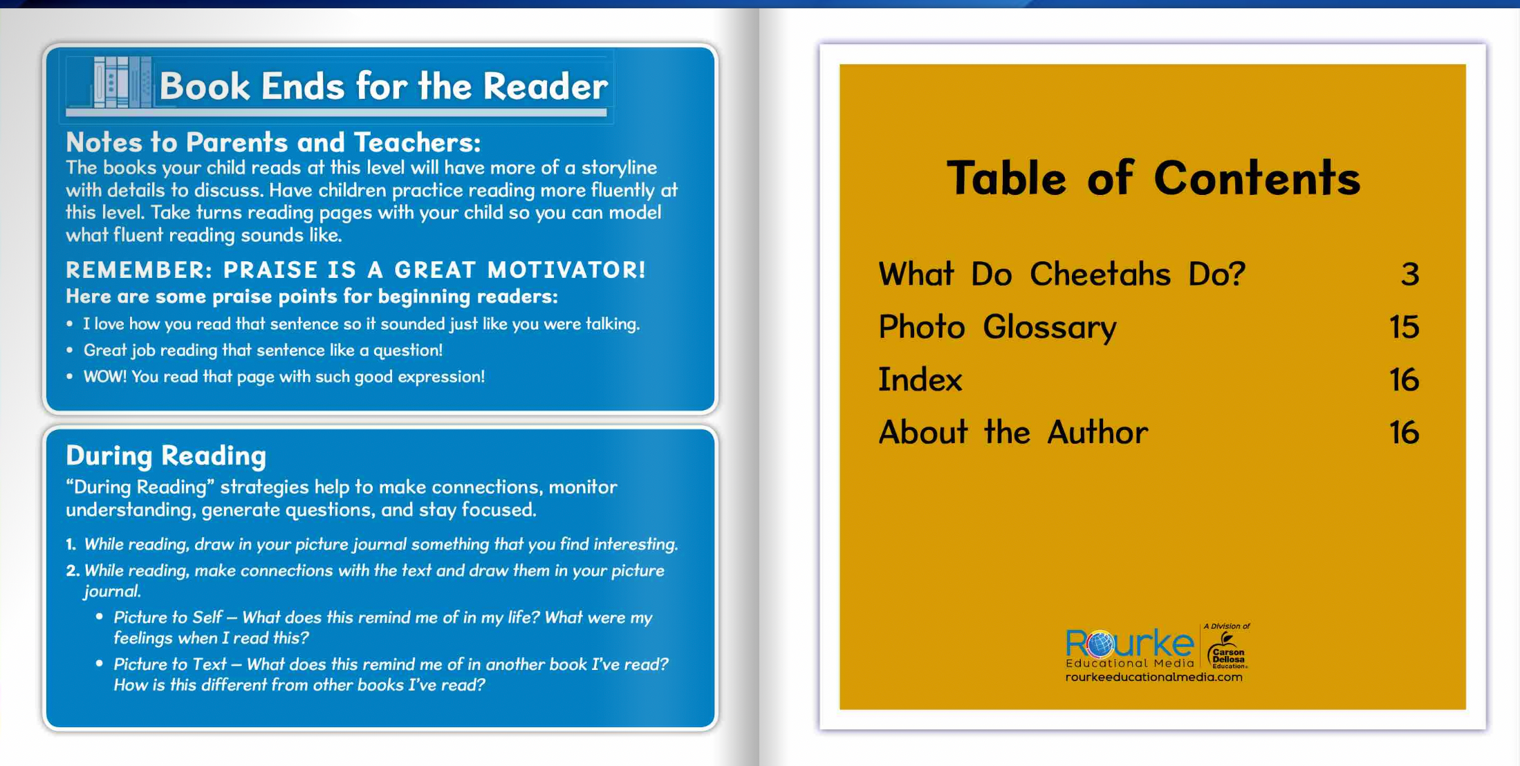 Ready Readers:Cheetah