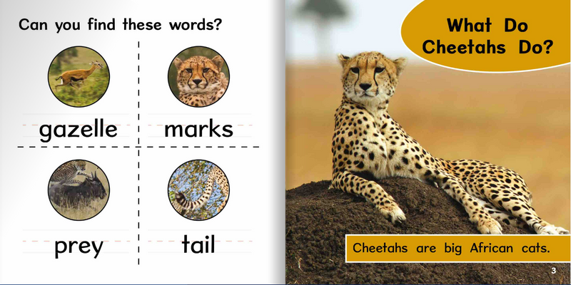 Ready Readers:Cheetah