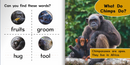 Ready Readers:Chimpanzee