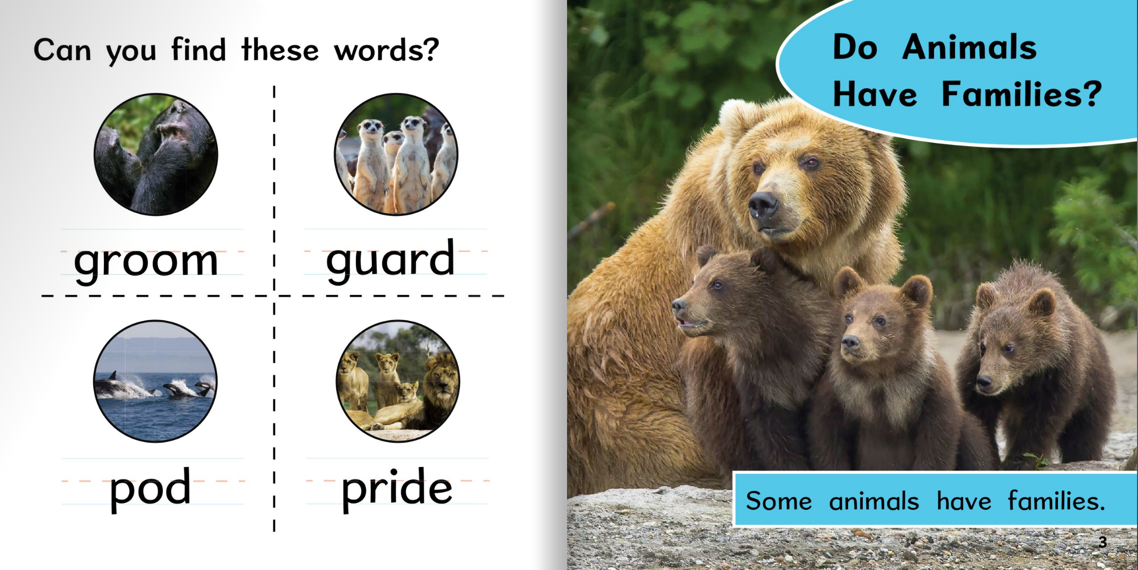 Ready Readers:Do Animals Have Families?