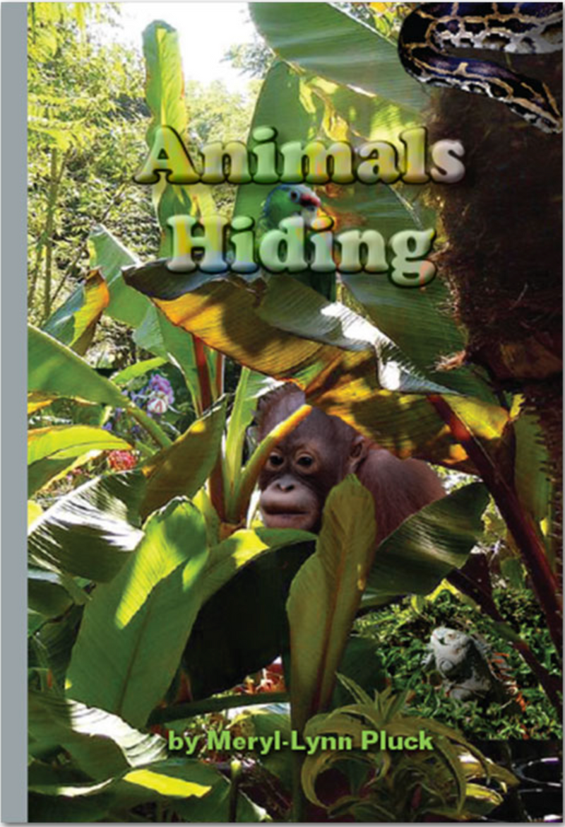 Rainbow Reading(Silver):Animals Hiding