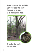 Rainbow Reading(Silver):Animals Hiding