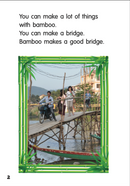 Rainbow Reading(Silver):Bamboo