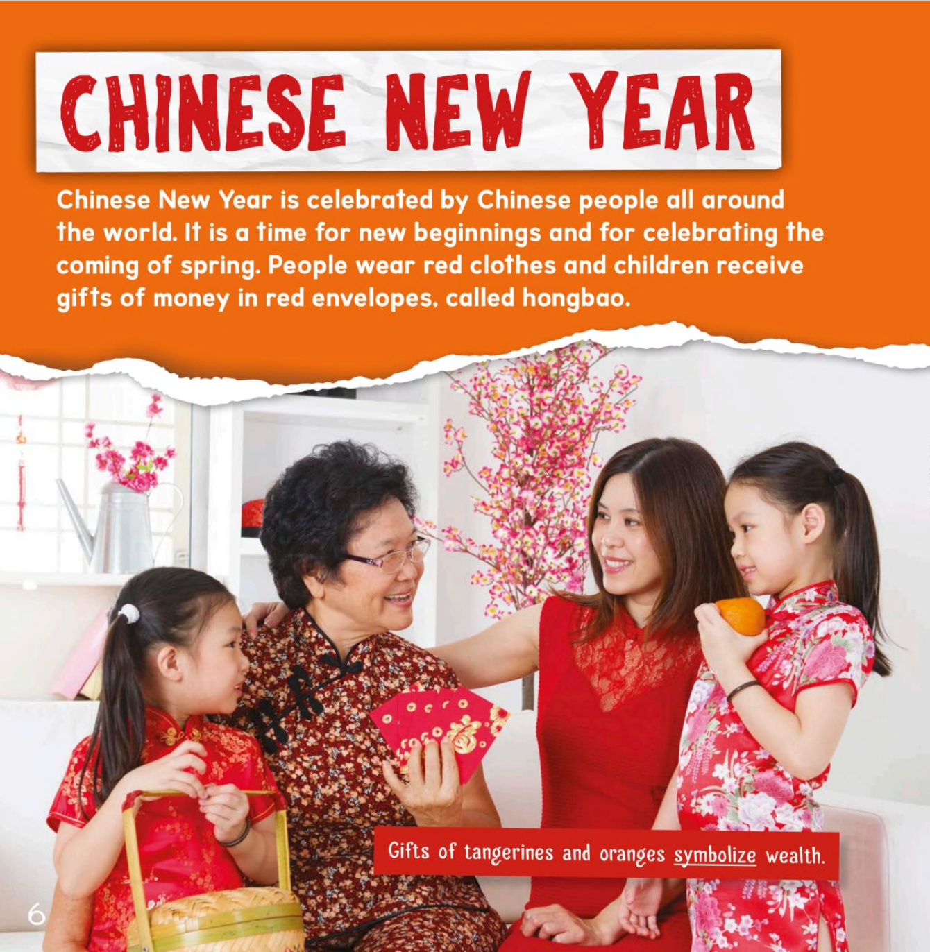 A Look at Life Around the World:Celebrations(PB)