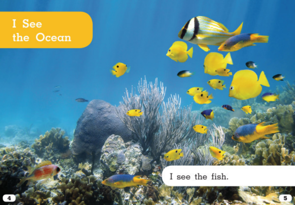 Let's Look at Animal Habitats:I See the Ocean