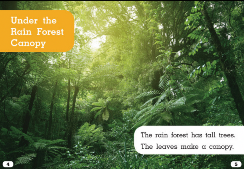 Let's Look at Animal Habitats:Under the Rain Forest Canopy