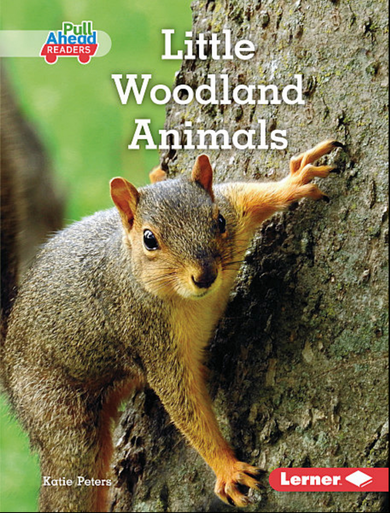 Let's Look at Animal Habitats:Little Woodland Animals