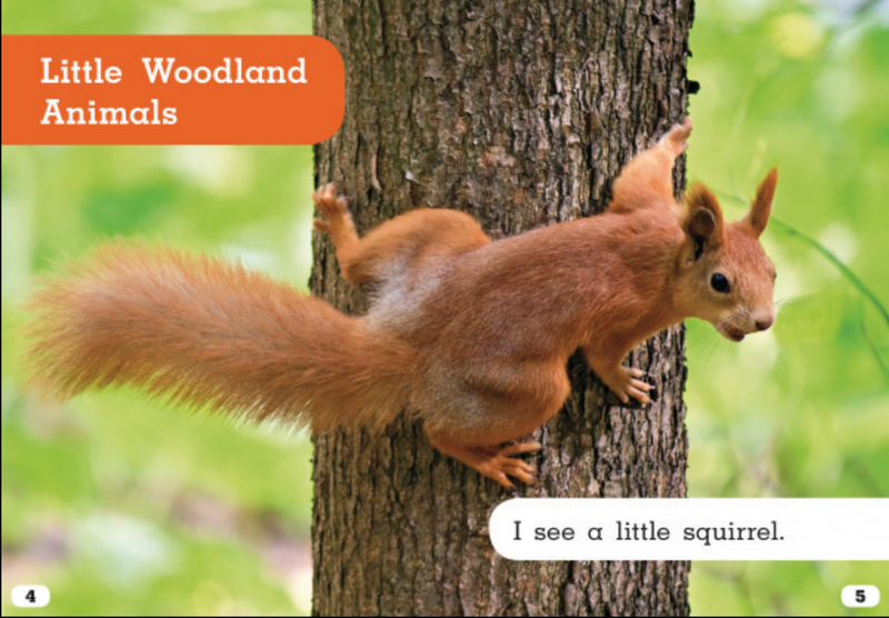 Let's Look at Animal Habitats:Little Woodland Animals