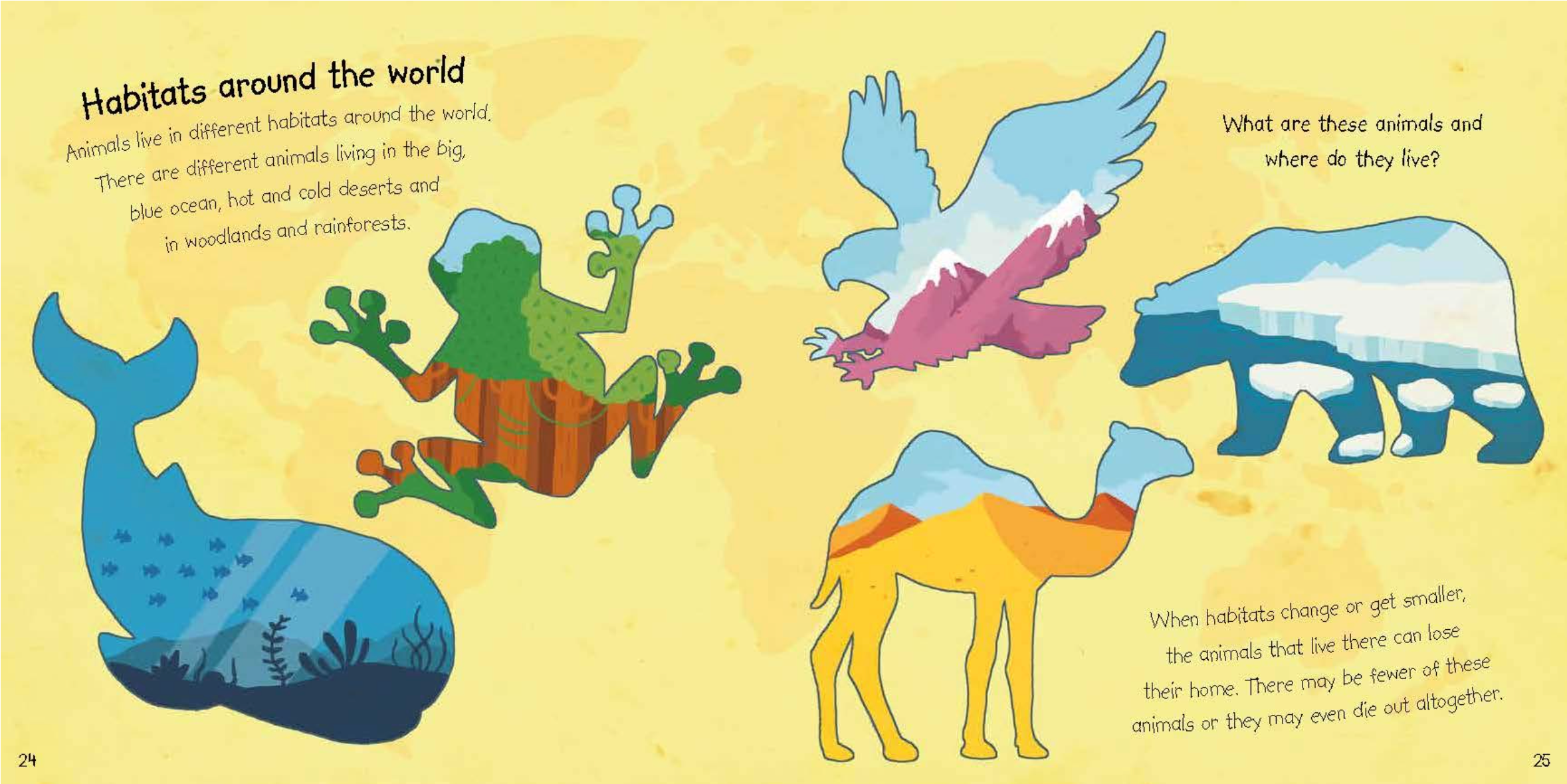 I Care About: My Animals-PB