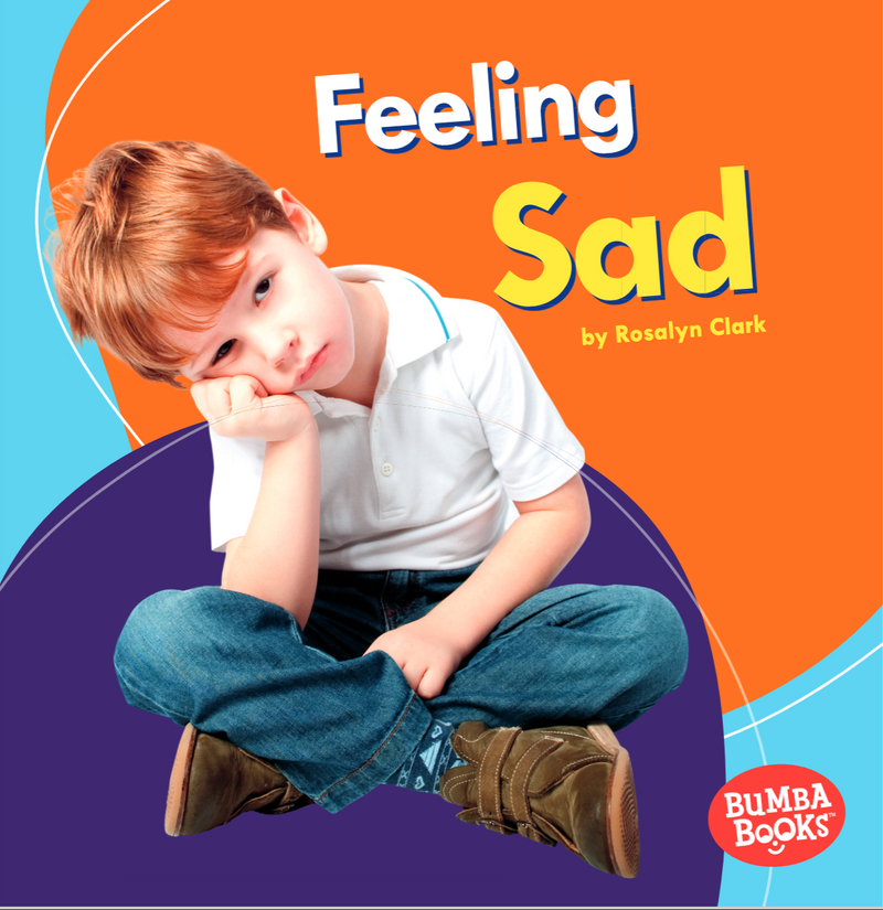 Feelings Matter: Feeling Sad(Paperback)