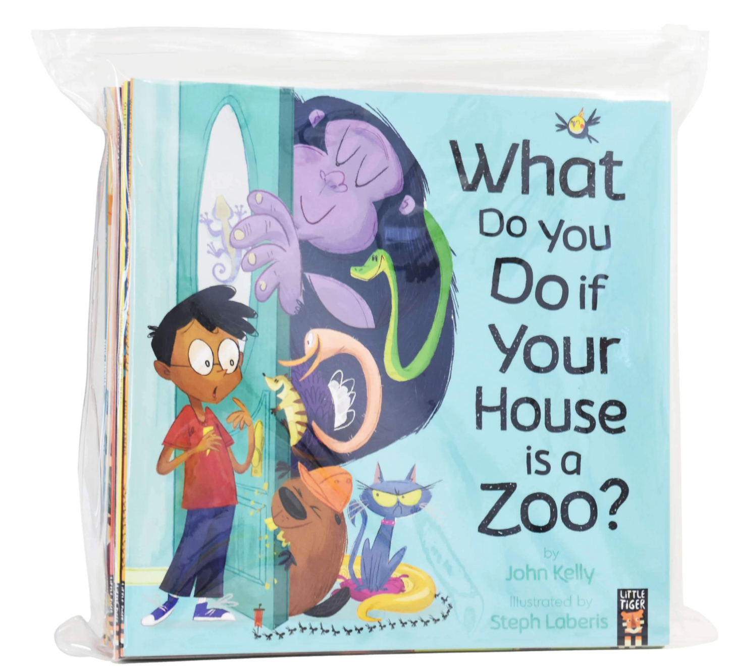 Zoo Series 10 Picture Flat Books Collection Set Ziplock Bag