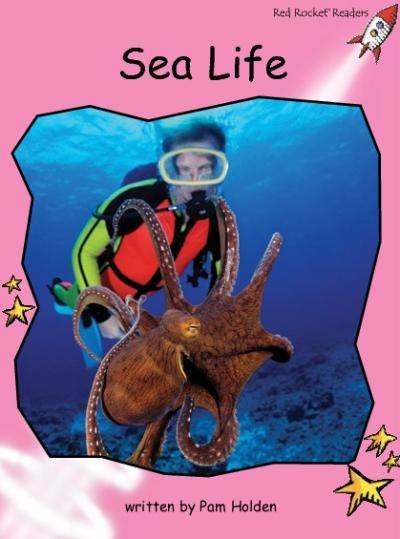 Red Rocket Pre-Reading Non Fiction A (Level 1): Sea Life