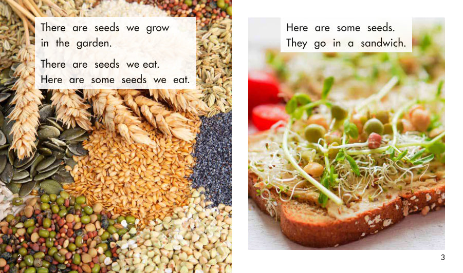 Sunshine Starters Level 6: So Many Seeds