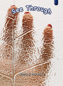 Key Links Sapphire (Level 29-30): See Through